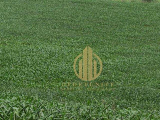 Terreno / Lote para Venda em Ribeirão Preto/SP Jardim Cristo Redentor