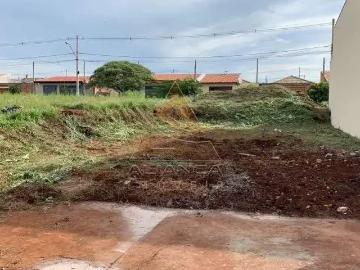 Terreno / Lote para Venda em Ribeirão Preto/SP Jardim Cristo Redentor