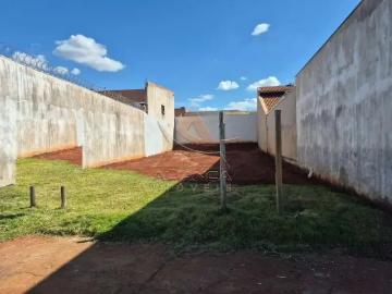 Terreno / Lote para Venda em Ribeirão Preto/SP Jardim Cristo Redentor