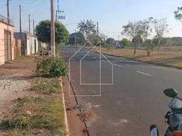 Terreno / Lote para Venda em Ribeirão Preto/SP Jardim Cristo Redentor