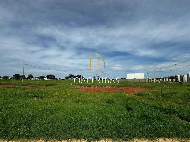Terreno / Lote para Venda em Ribeirão Preto/SP Jardim das Palmeiras