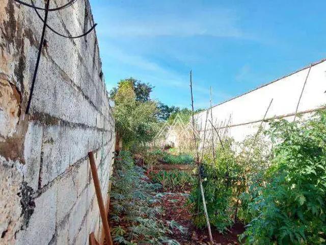 Terreno / Lote para Venda em Ribeirão Preto/SP Jardim Javari