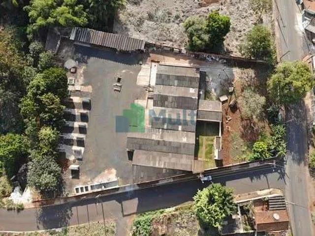 Terreno / Lote para Venda em Ribeirão Preto/SP Jardim Palma Travassos