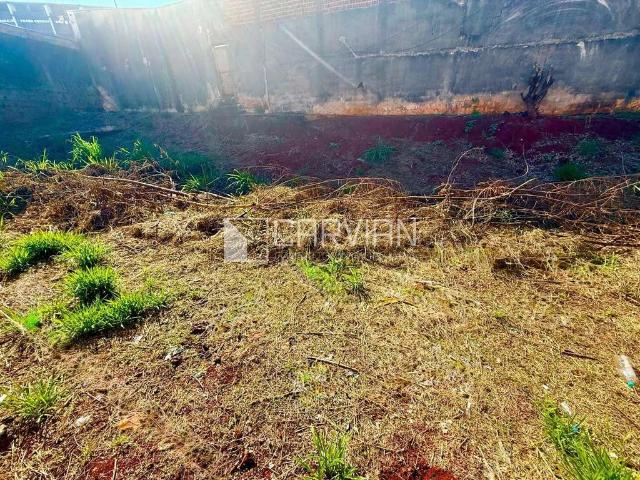 Terreno / Lote para Venda em Ribeirão Preto/SP Jardim Palma Travassos