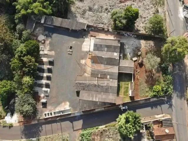 Terreno / Lote para Venda em Ribeirão Preto/SP Jardim Palma Travassos