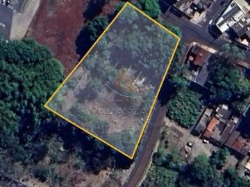 Terreno / Lote para Venda em Ribeirão Preto/SP Jardim Palma Travassos
