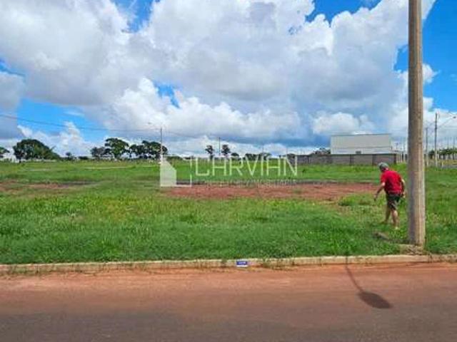 Terreno / Lote para Venda em Ribeirão Preto/SP Jardim Regatas