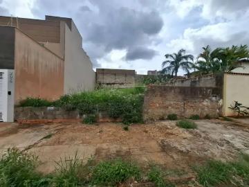 Terreno / Lote para Venda em Ribeirão Preto/SP Jardim São Luiz