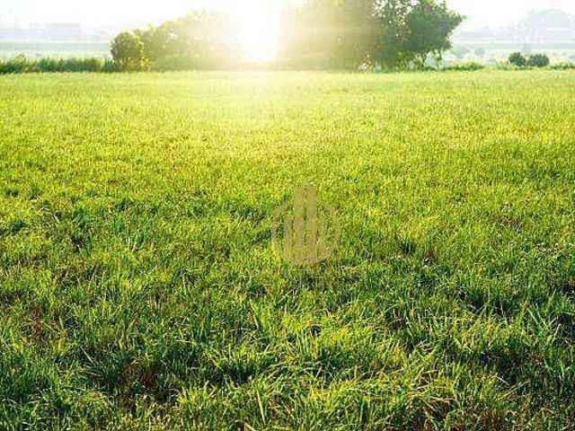 Terreno / Lote para Venda em Ribeirão Preto/SP Jardim Santa Cecília