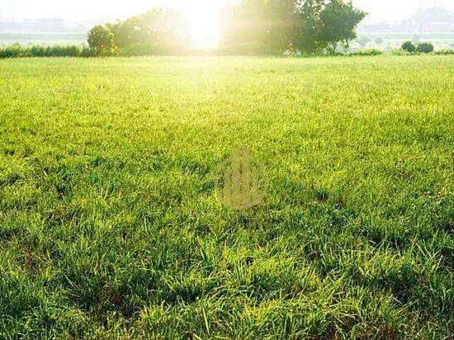 Terreno / Lote para Venda em Ribeirão Preto/SP Jardim Santa Cecília