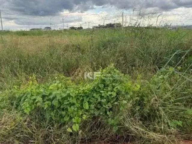 Terreno / Lote para Venda em Ribeirão Preto/SP Parque das Oliveiras II