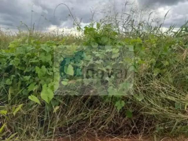 Terreno / Lote para Venda em Ribeirão Preto/SP Parque das Oliveiras II