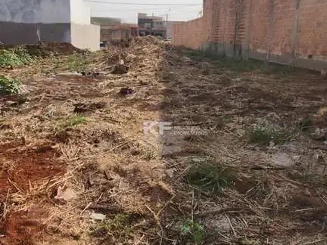 Terreno / Lote para Venda em Ribeirão Preto/SP Parque das Oliveiras II