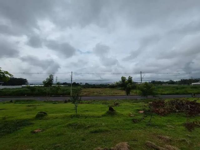 Terreno / Lote para Venda em Ribeirão Preto/SP Parque das Oliveiras