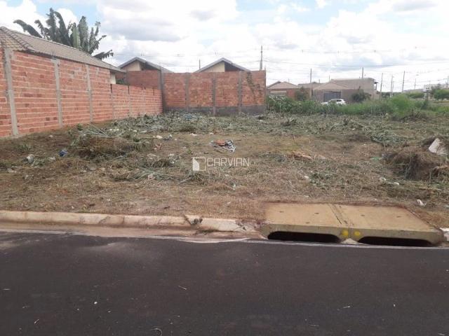 Terreno / Lote para Venda em Ribeirão Preto/SP Parque das Oliveiras