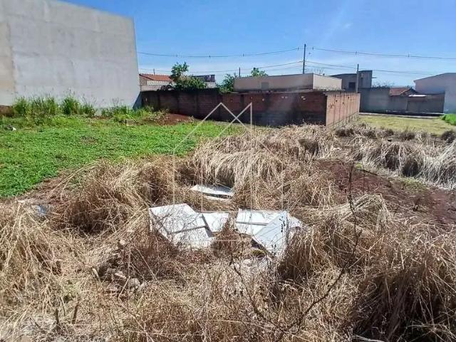 Terreno / Lote para Venda em Ribeirão Preto/SP Parque das Oliveiras