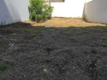 Terreno / Lote para Venda em Ribeirão Preto/SP Parque dos Bandeirantes