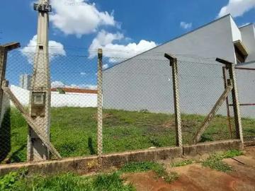 Terreno / Lote para Venda em Ribeirão Preto/SP Parque Industrial Lagoinha