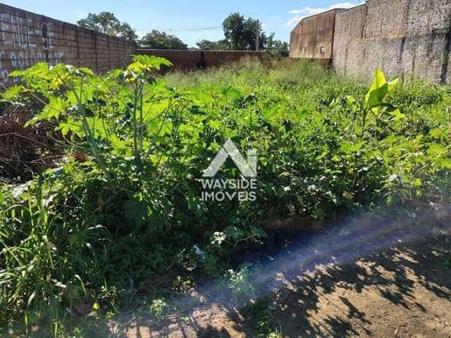 Terreno / Lote para Venda em Ribeirão Preto/SP Parque Residencial Cidade Universitária