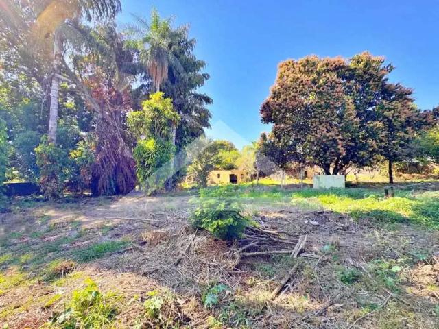 Terreno / Lote para Venda em Ribeirão Preto/SP Parque São Sebastião