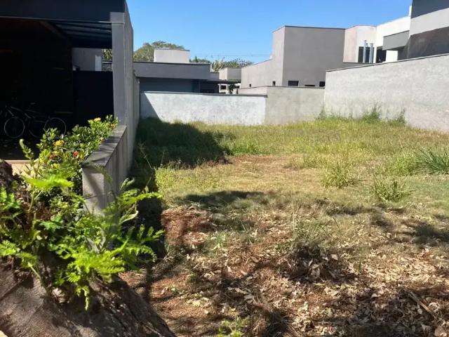 Terreno / Lote para Venda em Ribeirão Preto/SP Portal da Mata