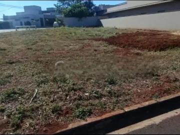 Terreno / Lote para Venda em Ribeirão Preto/SP Portal da Mata