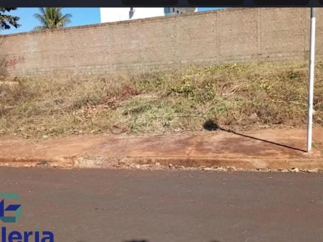 Terreno / Lote para Venda em Ribeirão Preto/SP Portal do Alto