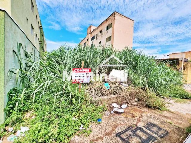Terreno / Lote para Venda em Ribeirão Preto/SP Presidente Médici