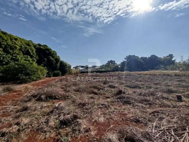 Terreno / Lote para Venda em Ribeirão Preto/SP Quinta da Alvorada