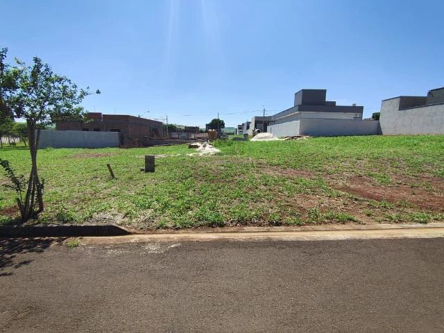 Terreno / Lote para Venda em Ribeirão Preto/SP Quinta da Mata