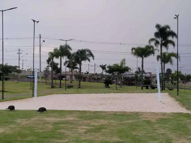 Terreno / Lote para Venda em Ribeirão Preto/SP Quinta da Mata