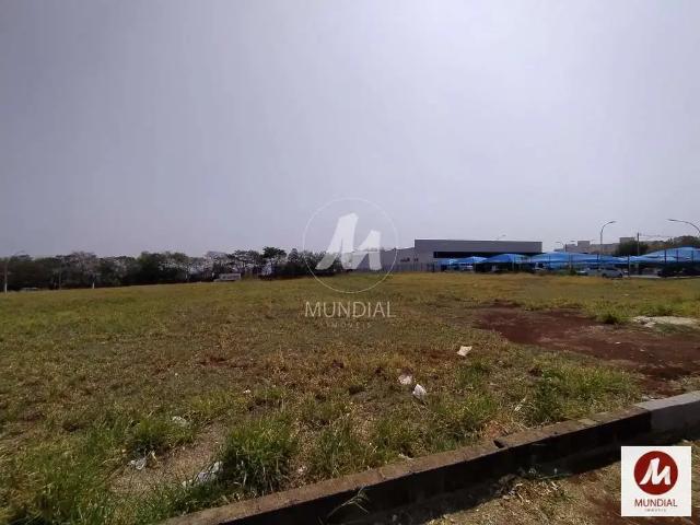 Terreno / Lote para Venda em Ribeirão Preto/SP Quinta da Primavera