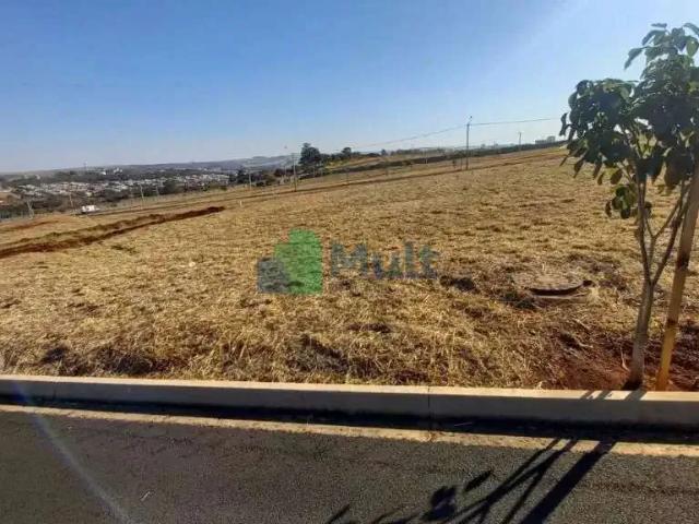 Terreno / Lote para Venda em Ribeirão Preto/SP Quinta da Primavera