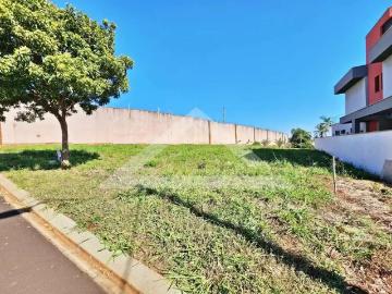 Terreno / Lote para Venda em Ribeirão Preto/SP Quintas de São José
