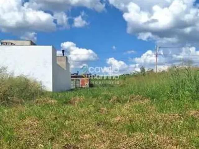 Terreno / Lote para Venda em Ribeirão Preto/SP Recreio Anhangüera