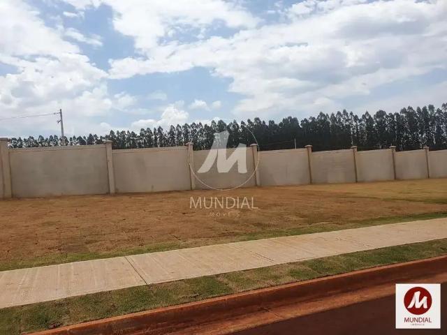 Terreno / Lote para Venda em Ribeirão Preto/SP Recreio Anhangüera