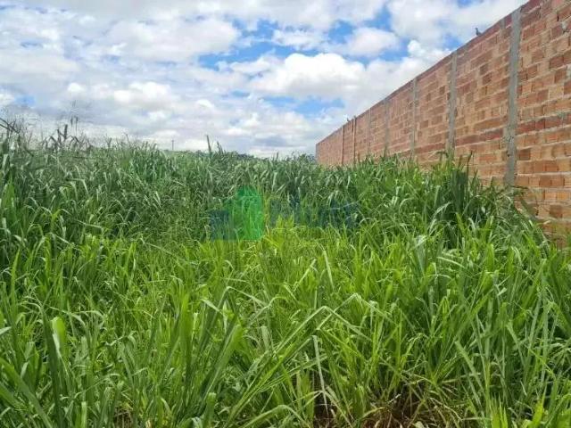 Terreno / Lote para Venda em Ribeirão Preto/SP Recreio Anhangüera