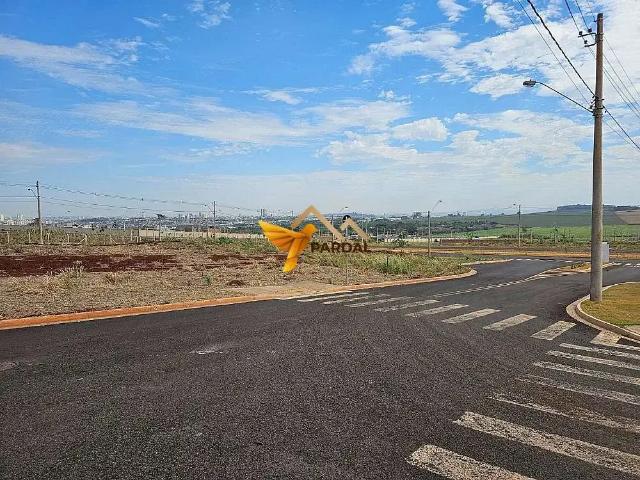 Terreno / Lote para Venda em Ribeirão Preto/SP Recreio Anhangüera