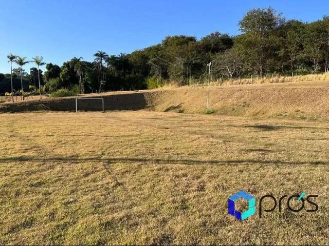 Terreno / Lote para Venda em Ribeirão Preto/SP Recreio Anhangüera