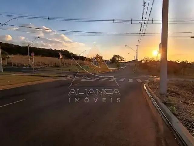 Terreno / Lote para Venda em Ribeirão Preto/SP Recreio Anhangüera