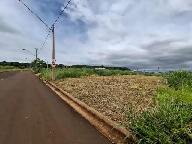 Terreno / Lote para Venda em Ribeirão Preto/SP Recreio Anhangüera