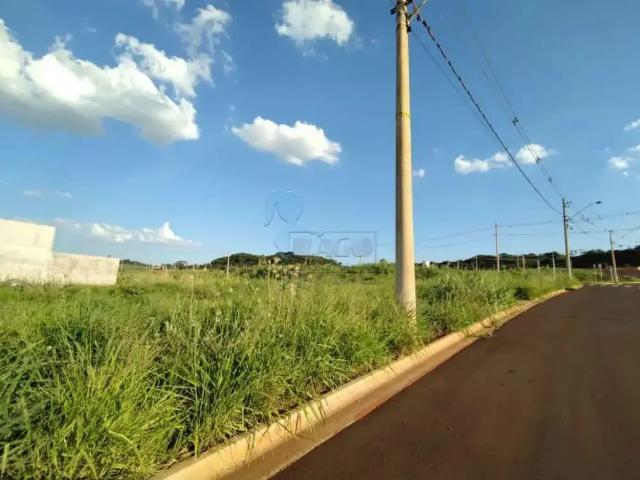 Terreno / Lote para Venda em Ribeirão Preto/SP Recreio Anhangüera