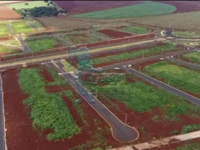 Terreno / Lote para Venda em Ribeirão Preto/SP Recreio Anhangüera