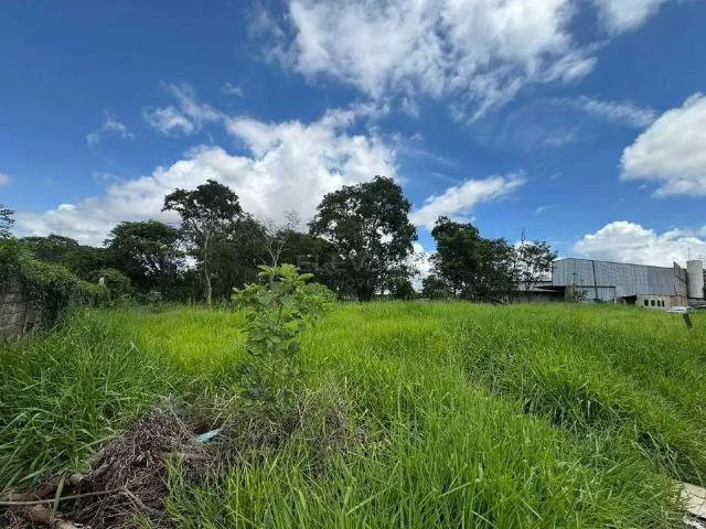 Terreno / Lote para Venda em Ribeirão Preto/SP Recreio Anhangüera