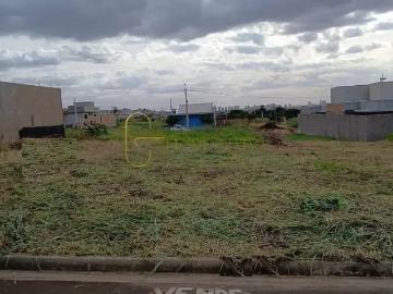 Terreno / Lote para Venda em Ribeirão Preto/SP Recreio Anhangüera
