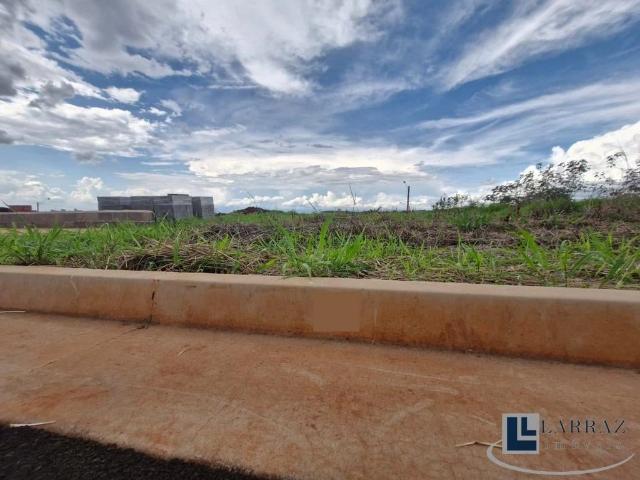 Terreno / Lote para Venda em Ribeirão Preto/SP Recreio Anhangüera