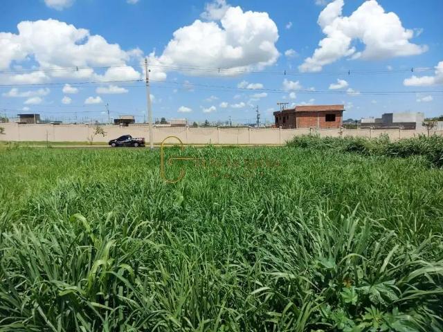 Terreno / Lote para Venda em Ribeirão Preto/SP Recreio Anhangüera