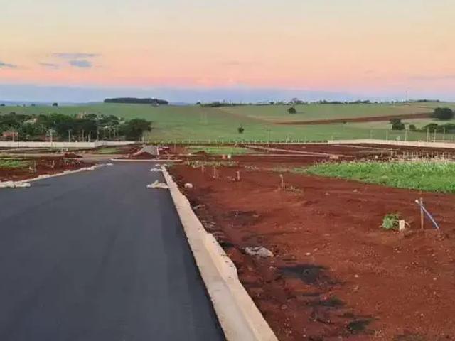 Terreno / Lote para Venda em Ribeirão Preto/SP Recreio Anhangüera