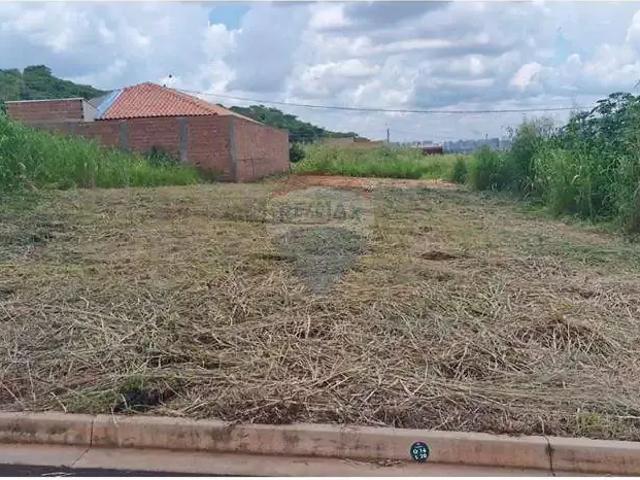 Terreno / Lote para Venda em Ribeirão Preto/SP Recreio Anhangüera