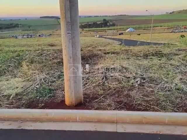 Terreno / Lote para Venda em Ribeirão Preto/SP Recreio Anhangüera